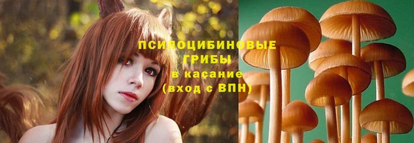 jwh Алзамай