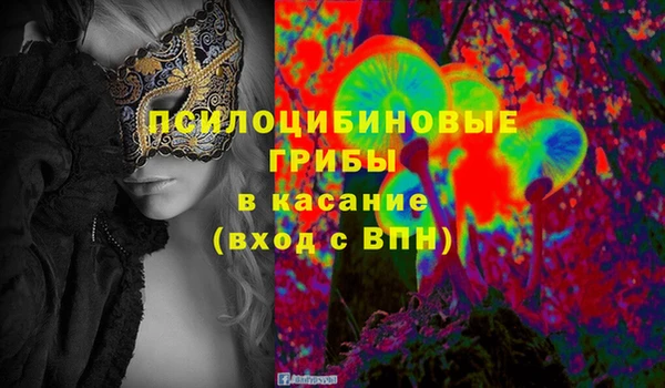 хмурый Алексеевка