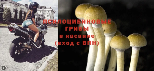 гидропоника Абдулино